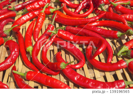 Red Chili Peppers Drying in the Sun	 139196565