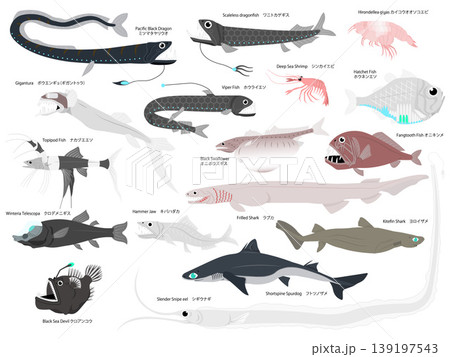 沢山の主線無しの深海魚のイラストセット 139197543