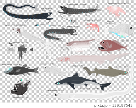 沢山の主線無しの深海魚のイラストセット 139197543