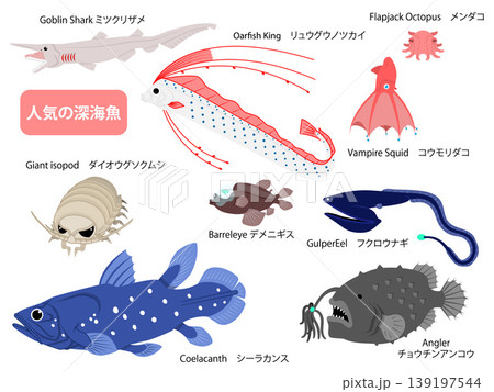 人気の深海魚たちの主線無しのイラストセット 139197544