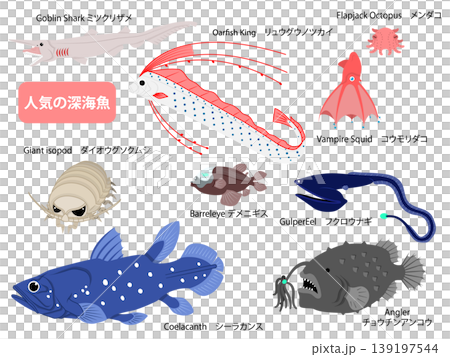 人気の深海魚たちの主線無しのイラストセット 139197544