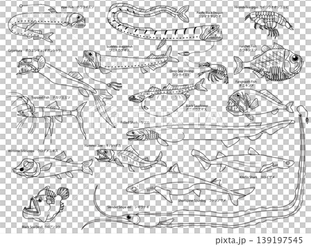 塗り絵にもなる、沢山の主線のみの深海魚のイラストセット 塗り絵にもなる、沢山の主線のみの深海魚のイラストセット 139197545