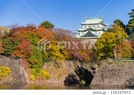 紅葉の名古屋城天守閣 東側から 紅葉の名古屋城天守閣 東側から 139197933