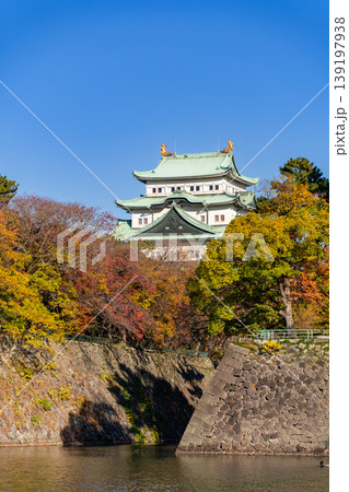 紅葉の名古屋城天守閣　東側から 139197938