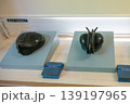 昆虫の顔　オブジェ 139197965