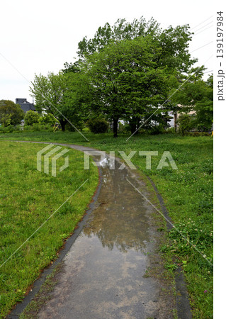 雨上がりの公園の遊歩道 雨上がりの公園の遊歩道 139197984