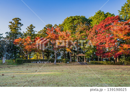 浜松市の二俣城跡の風景(静岡県) 浜松市の二俣城跡の風景(静岡県) 139198025