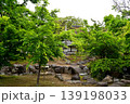 曼荼羅寺公園　藤まつり 139198033
