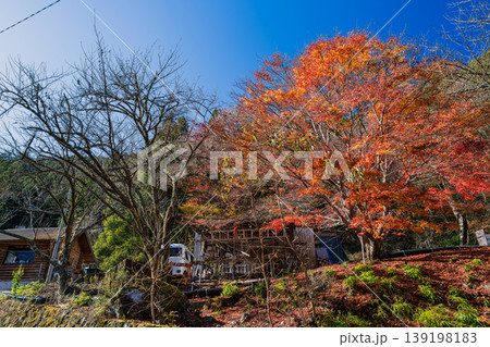 川根本町の寸又峡温泉の紅葉の風景(静岡県) 川根本町の寸又峡温泉の紅葉の風景(静岡県) 139198183