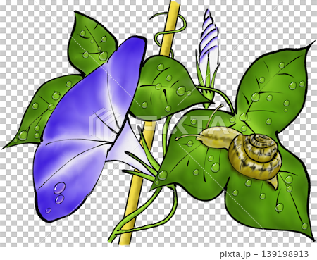 牽牛花和蝸牛材料 牽牛花和蝸牛材料 139198913