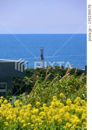 薩摩長崎鼻灯台(鹿児島県・指宿市) 薩摩長崎鼻灯台(鹿児島県・指宿市) 139199576