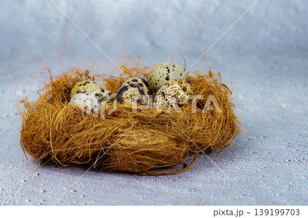 Quail eggs resting in a nest representing new life Quail eggs resting in a nest representing new life 139199703