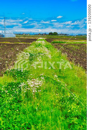田舎の風景 139200000