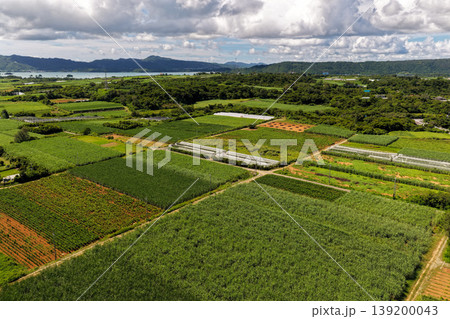 古宇利大橋近くの畑と緑豊かな田園風景を空撮した夏の日の写真 139200043
