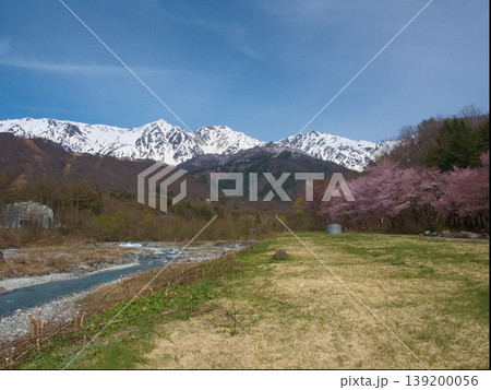 白馬村の桜の風景 白馬村の桜の風景 139200056