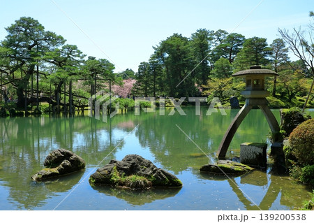 金沢 兼六園の桜とことじ灯籠 金沢 兼六園の桜とことじ灯籠 139200538