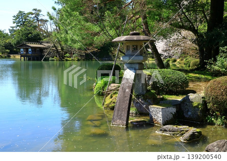 金沢 兼六園の桜とことじ灯籠 金沢 兼六園の桜とことじ灯籠 139200540