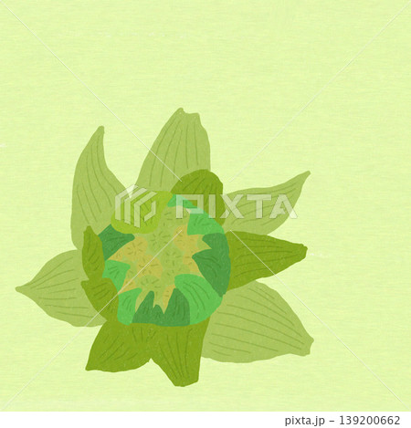 蕗 蕗 139200662