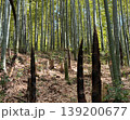 竹の子 139200677