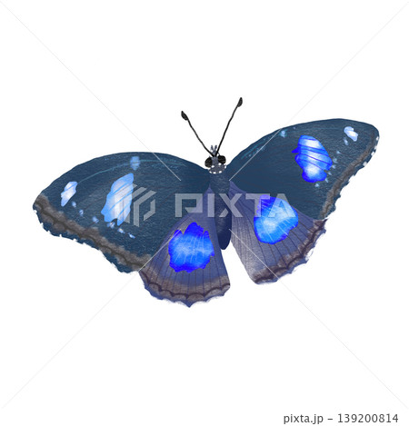 Blue moon butterfly realistic illustration Blue moon butterfly realistic illustration 139200814