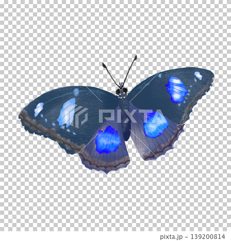 Blue moon butterfly realistic illustration Blue moon butterfly realistic illustration 139200814