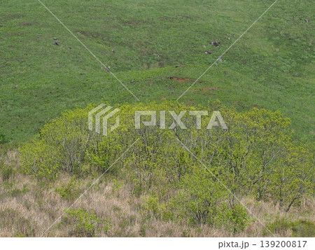 新緑が美しい山の風景 139200817