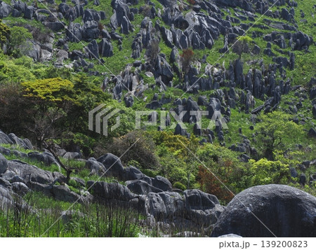 新緑のカルスト台地の風景 139200823