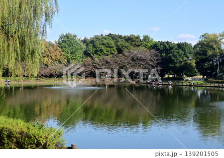 埼玉県央の静かな釣りスポット・北本総合公園の池 埼玉県央の静かな釣りスポット・北本総合公園の池 139201505