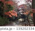紅葉したもみじの散策路 139202334