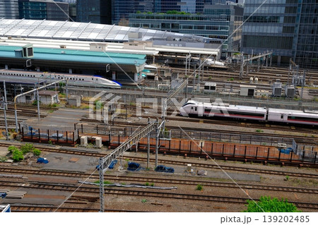 日本のターミナル駅  東京駅 139202485