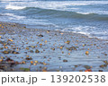 砂浜に打ち寄せる波 砂浜に打ち寄せる波 139202538