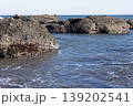 砂浜に打ち寄せる波 砂浜に打ち寄せる波 139202541