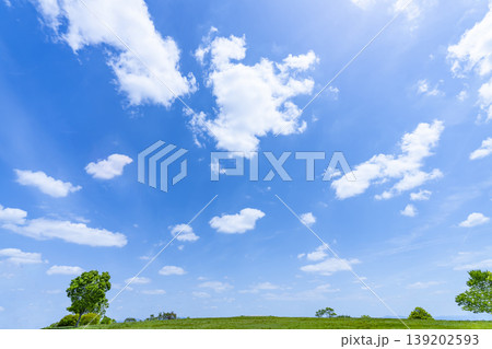 春の青空と雲と草原 春の青空と雲と草原 139202593