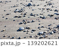 砂浜に打ち上げられた石 砂浜に打ち上げられた石 139202621