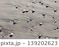 砂浜に打ち上げられた石 砂浜に打ち上げられた石 139202623