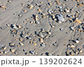 砂浜に打ち上げられた石 砂浜に打ち上げられた石 139202624