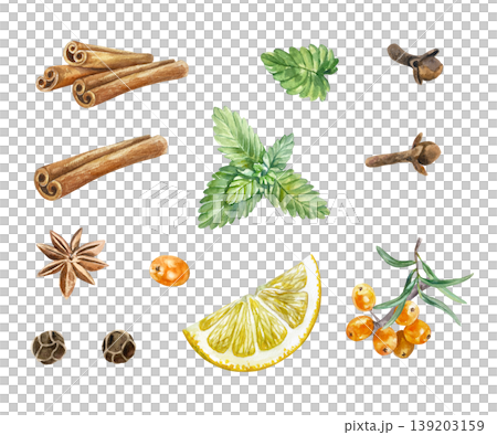Spice set. Mint, cinnamon sticks, dried cloves, peppercorns, lemon wedge, star anise and sea buckthorn berries. Hand drawn watercolor illustration, isolated. For food label design and cookbook recipes Spice set. Mint, cinnamon sticks, dried cloves, peppercorns, lemon wedge, star anise and sea buckthorn berries. Hand drawn watercolor illustration, isolated. For food label design and cookbook recipes 139203159