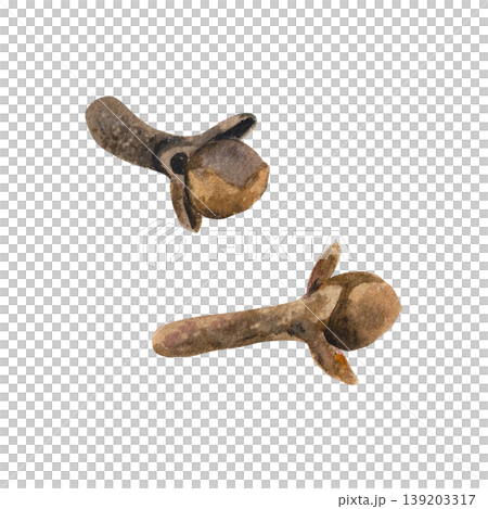 Dried clove buds, isolated. Hand drawn watercolor illustration of organic culinary ingredient for decorating winter drinks, medicines and cooking recipes. 139203317