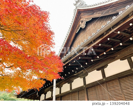 日本の伝統的な寺院の屋根と鮮やかな紅葉 139204048