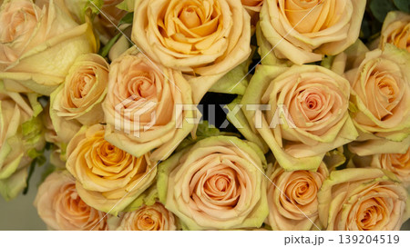rose 139204519