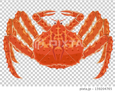 Clipboard illustration Clipboard illustration 139204765