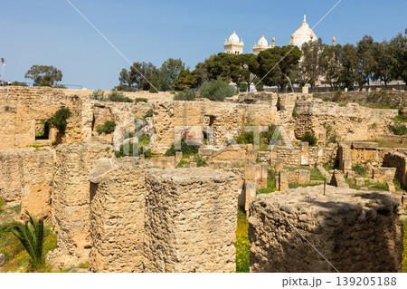 Ruins of house of Hannibal at the excavations of Carthage 139205188