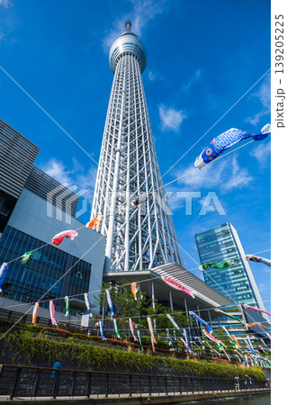晴れ渡る青空にそびえる東京スカイツリーとたくさんの鯉のぼりが泳ぐ春の風景 (東京都、墨田区、押上) 139205225