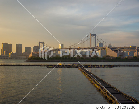 黄金色の陽を浴びるの海上の噴水設備と奥に架かるレインボーブリッジの夕景 (東京都、港区、お台場) 黄金色の陽を浴びるの海上の噴水設備と奥に架かるレインボーブリッジの夕景 (東京都、港区、お台場) 139205230