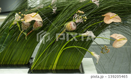 International Flower Exhibition International Flower Exhibition 139205465