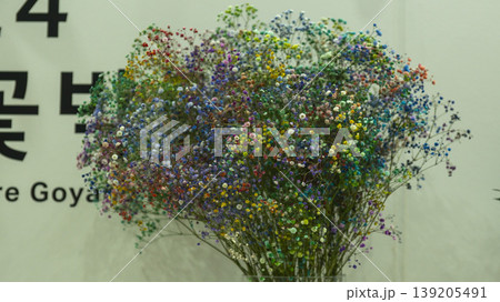 International Flower Exhibition 139205491