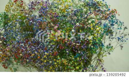 International Flower Exhibition International Flower Exhibition 139205492