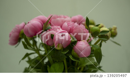 International Flower Exhibition International Flower Exhibition 139205497