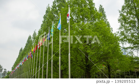 International Flower Exhibition International Flower Exhibition 139205513