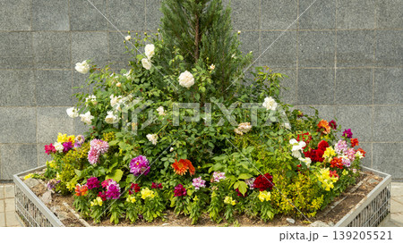International Flower Exhibition 139205521